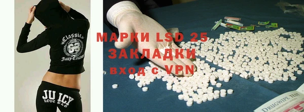 шишки Беломорск