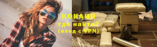 шишки Беломорск