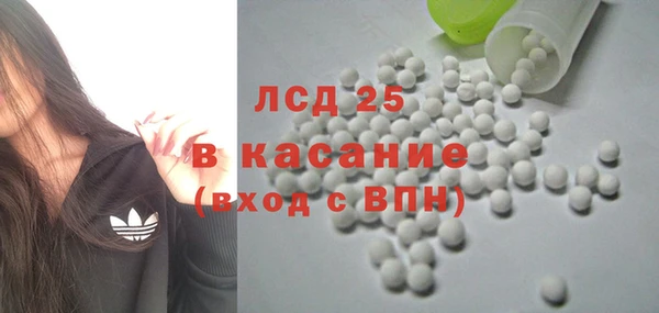 шишки Беломорск