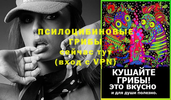 дмт Белоозёрский