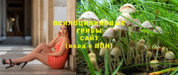 прущий лед Белокуриха