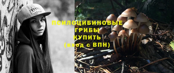 шишки Беломорск