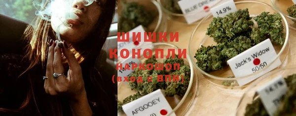 шишки Беломорск