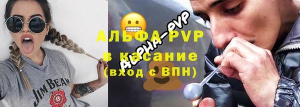 шишки Беломорск