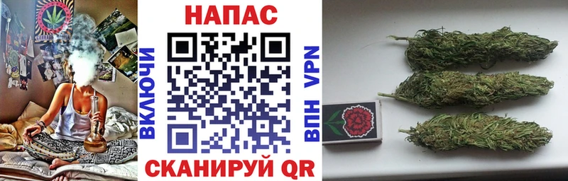 дарнет шоп Луховицы Бошки Шишки OG Kush